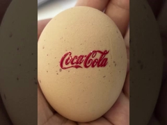 এবি প্রিন্টিং ফিল্ম এবং 6 মিমি মিডিয়া নমনীয় উচ্চতা সহ 8 রঙের কালি ডিটিএফ ইউভি প্রিন্টার